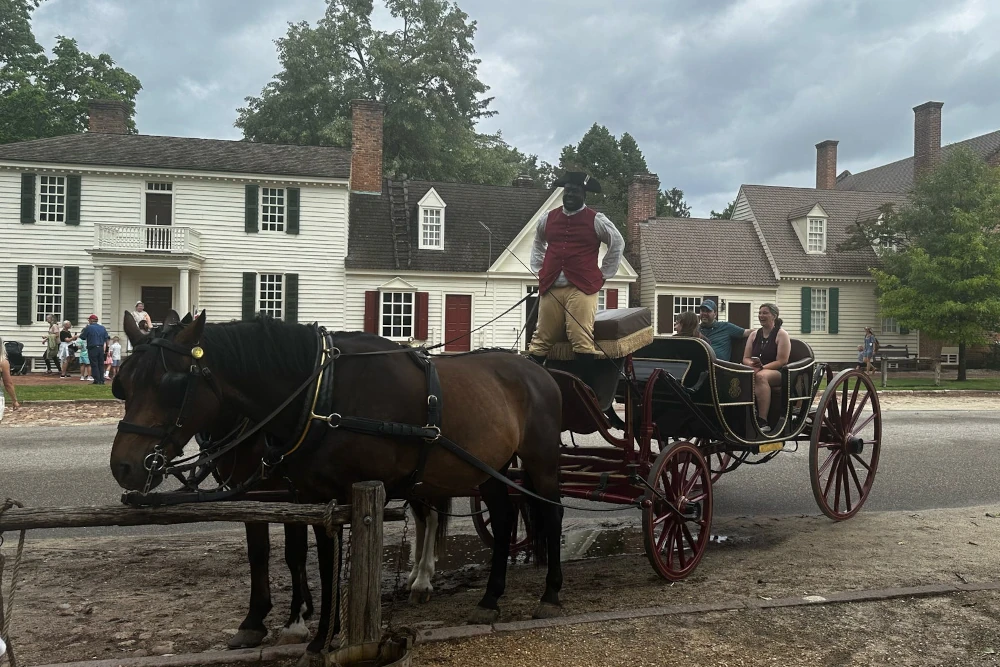 Horse and carriage